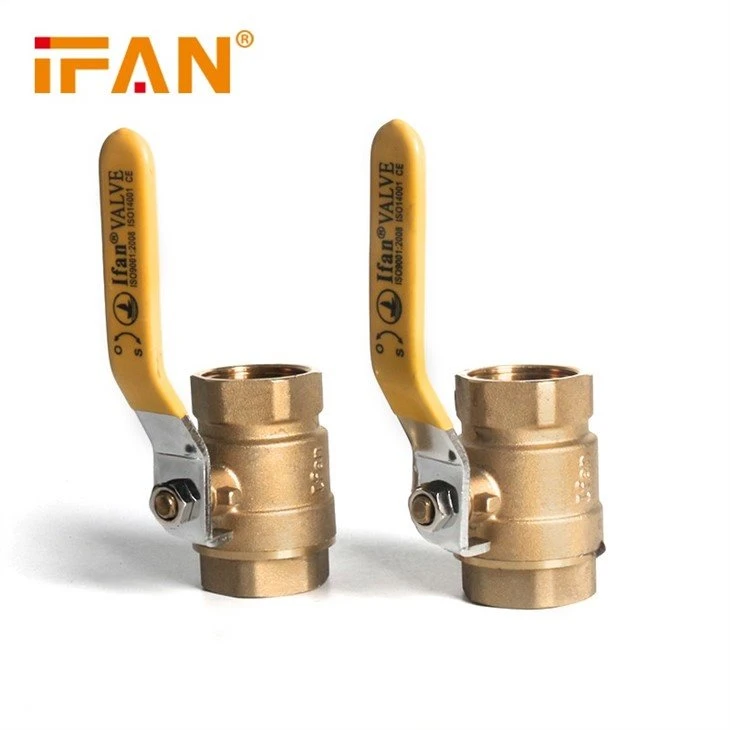 Double Female Brass Gas Valve