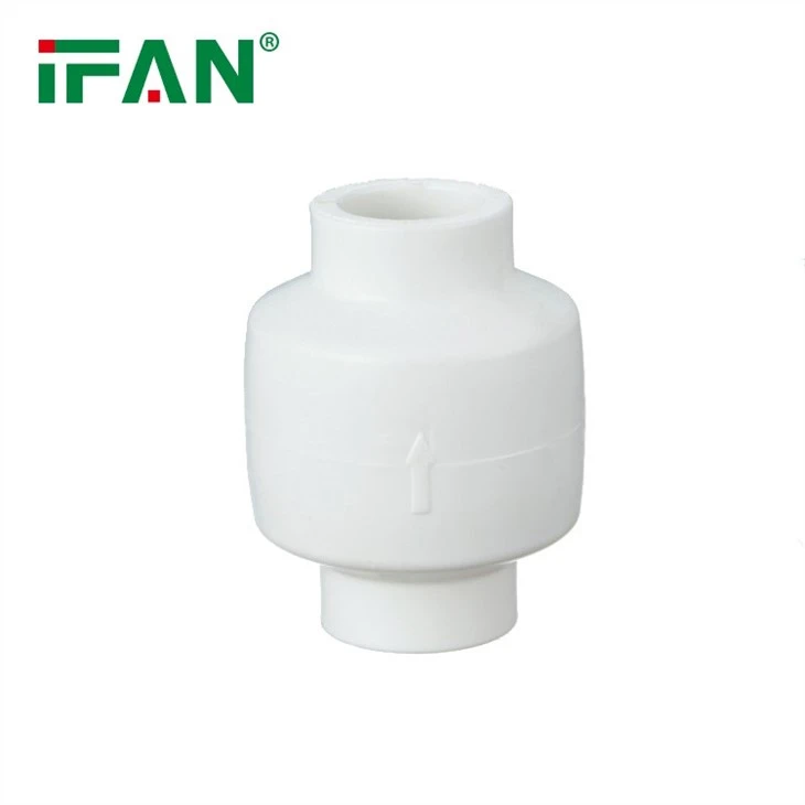 Vertical Ppr Check Valve