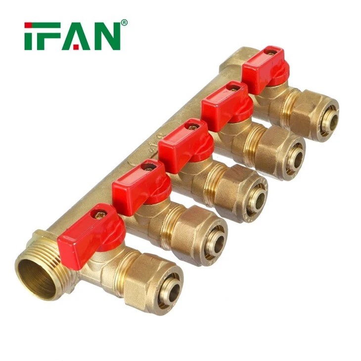 IFAN Brass Manifold