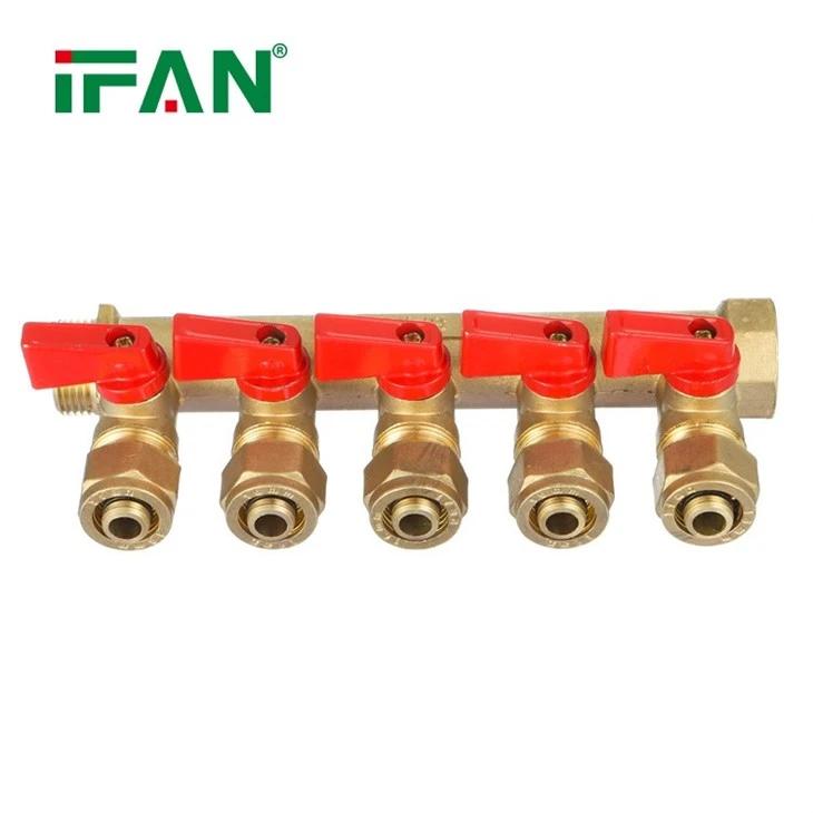 IFAN Brass Manifold