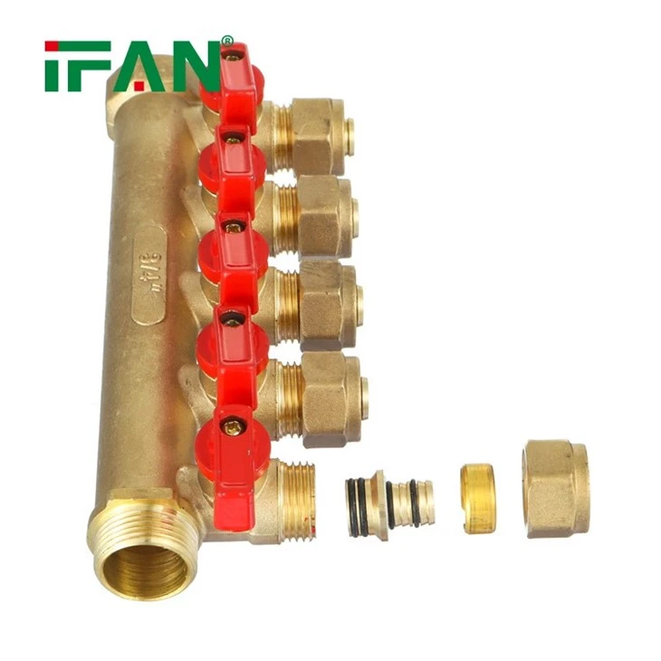 IFAN Brass Manifold