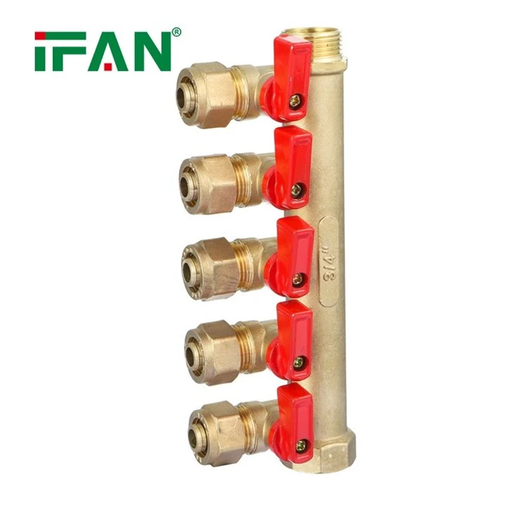 IFAN Brass Manifold
