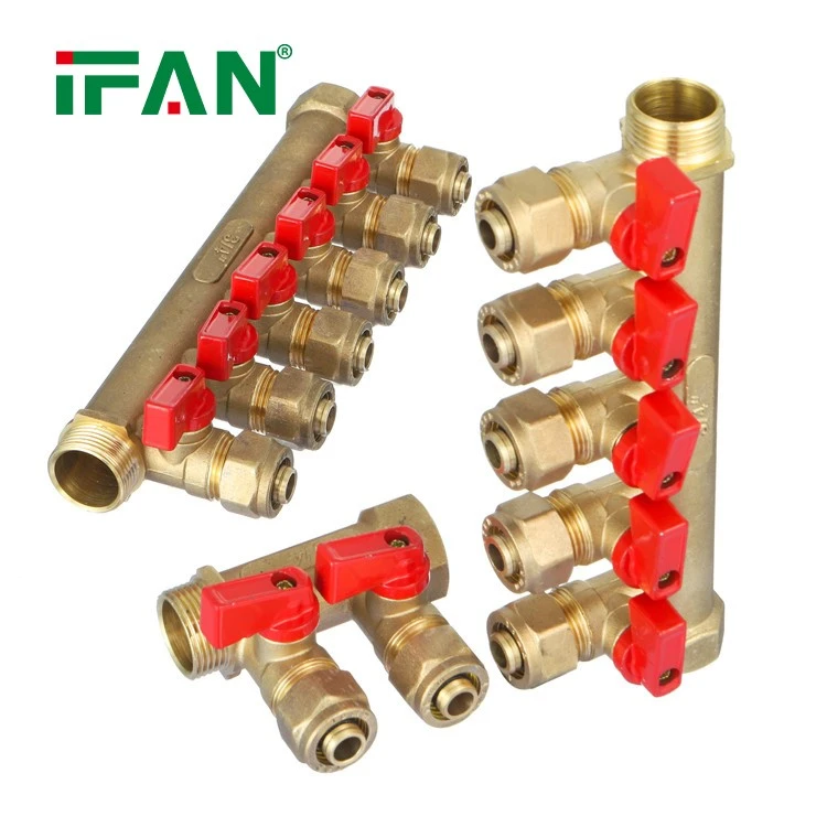 IFAN Brass Manifold